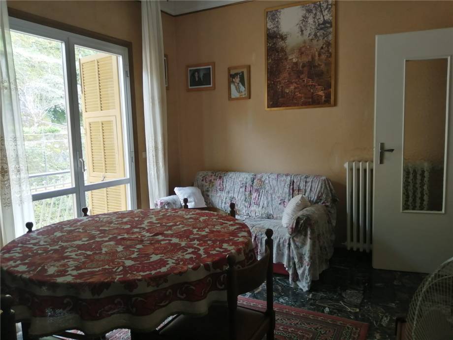 Flat Ceriana #T302