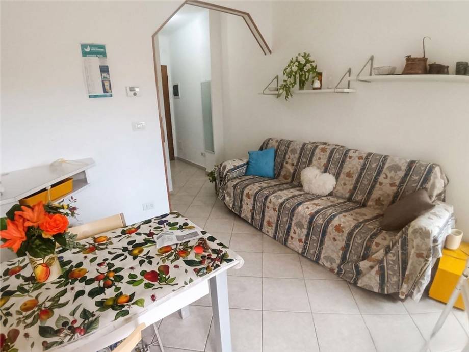 Flat Sanremo #B270