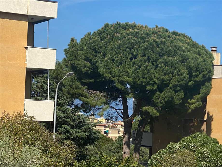 For sale Apartment Ceriale  #CES52 n.13
