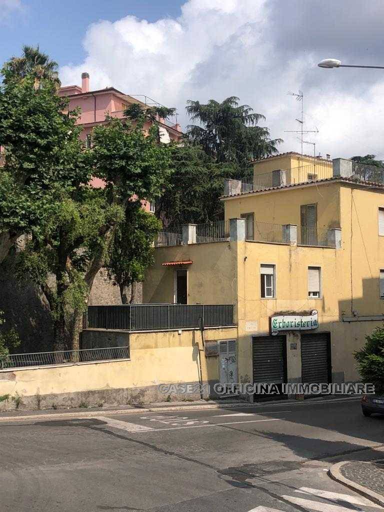 To rent Flat Albano Laziale  #218 n.3