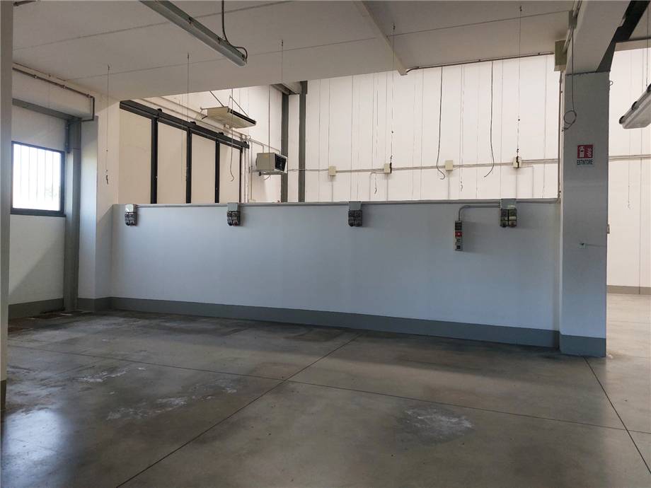 To rent Industrial/Warehouse Carmignano Comeana #SCM49 n.4