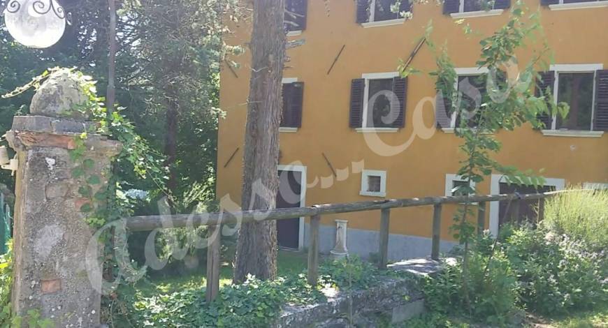 Venta Local commercial Tredozio Tredozio di sopra #PObd n.2