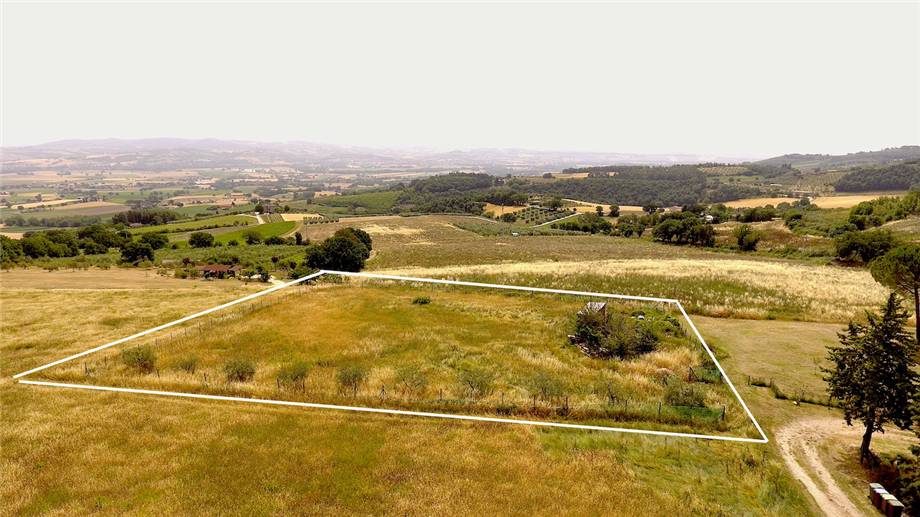 For sale Land San Venanzo Collelungo #VTE1 n.3