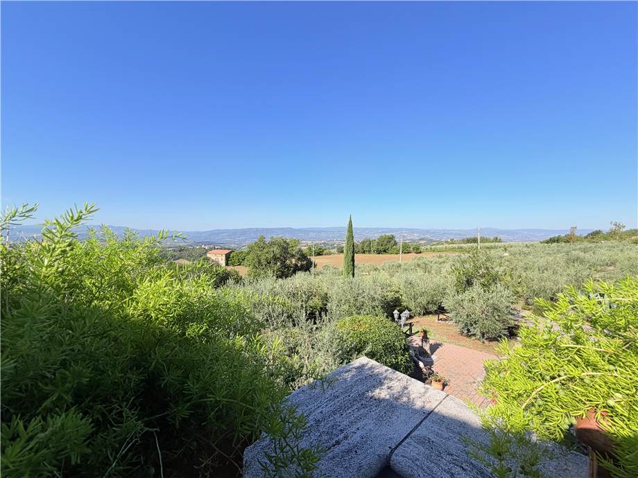 Vendita Rustico/Casale Todi  #vaz473 n.32