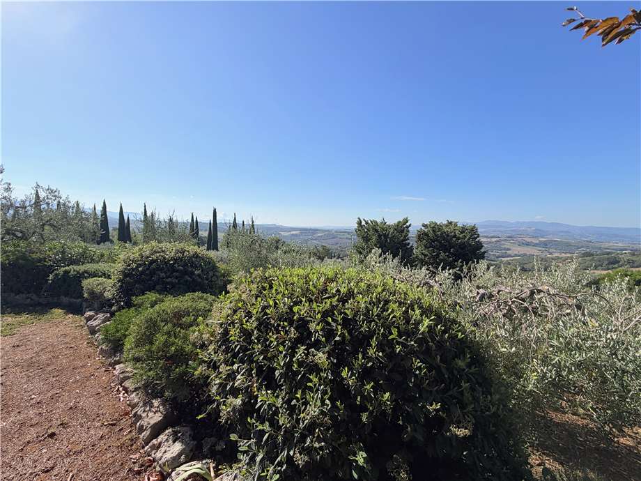 Vendita Rustico/Casale Todi #vaz473 n.41