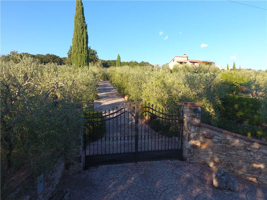 Vendita Rustico/Casale Todi #vaz473 n.5