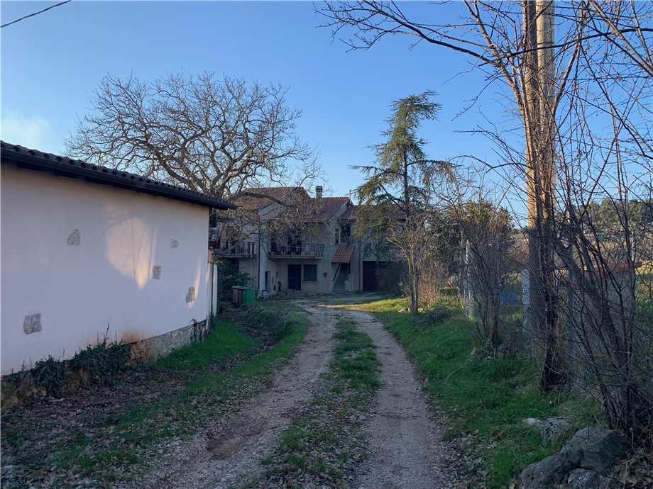 Verkauf Zweifamilienhaus Massa Martana Viepri #VVI51 n.3