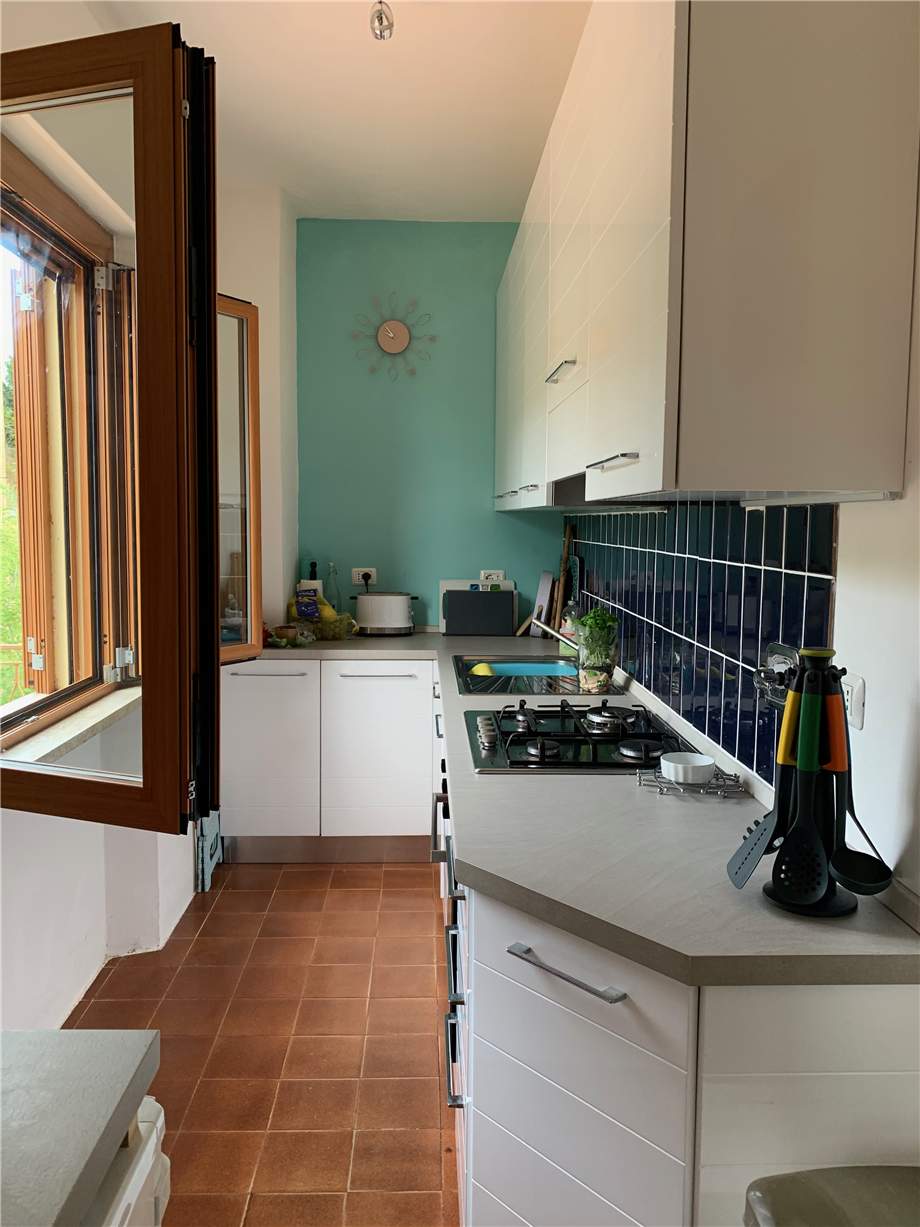 Vendita Villa/Casa singola San Venanzo San Vito in Monte #VVI58 n.13