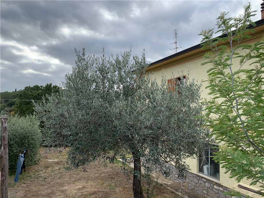 Vendita Villa/Casa singola San Venanzo San Vito in Monte #VVI58 n.19