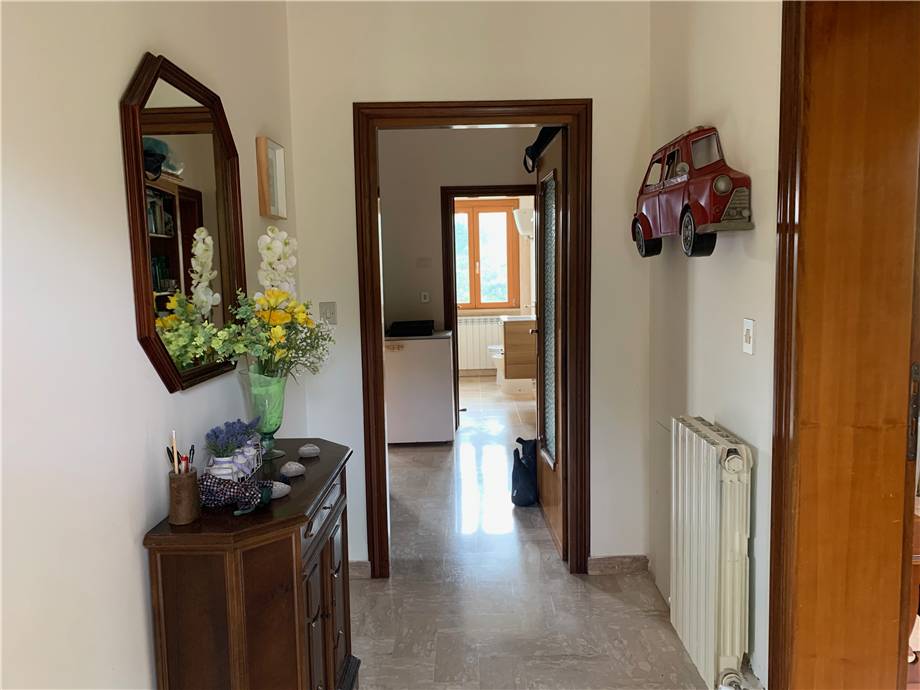 Vendita Villa/Casa singola San Venanzo San Vito in Monte #VVI58 n.6
