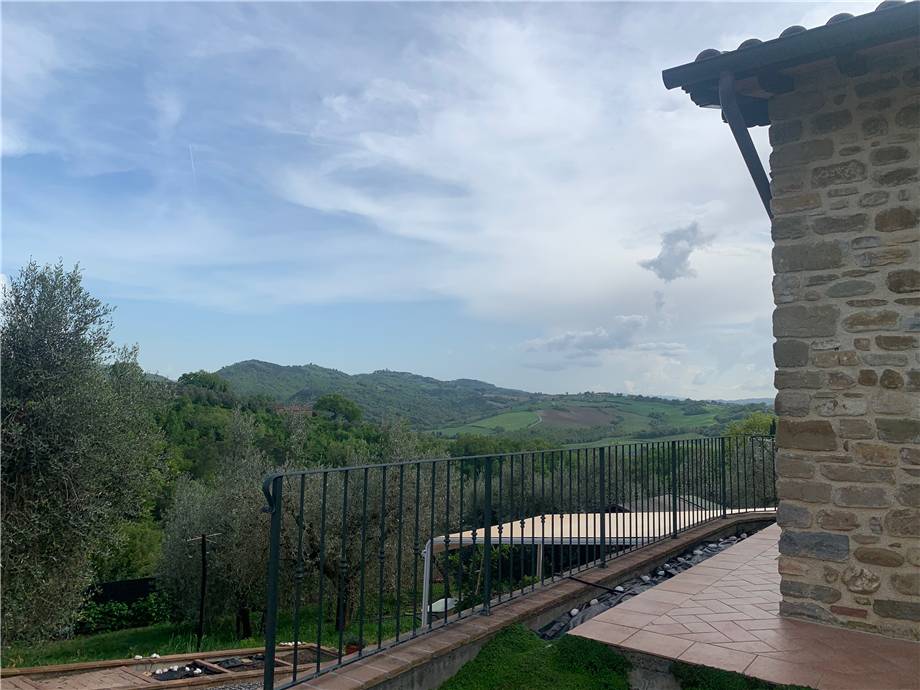 Vendita Villa/Casa singola Collazzone  #VVI65 n.24