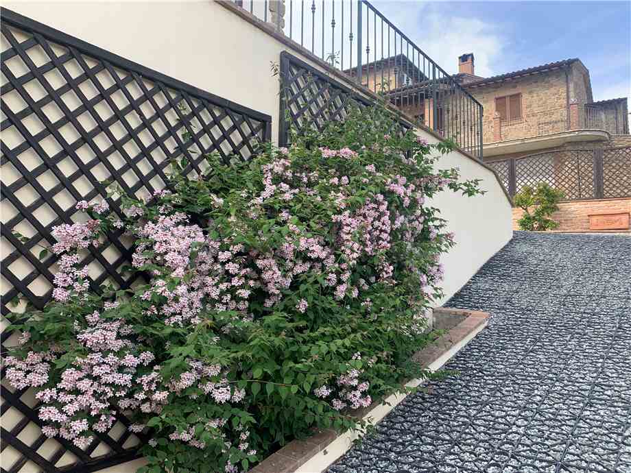 Vendita Villa/Casa singola Collazzone  #VVI65 n.32