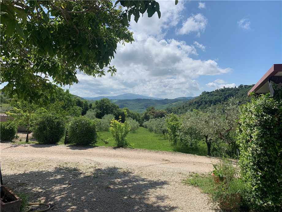 Vendita Villa/Casa singola Collazzone  #VVI70 n.13