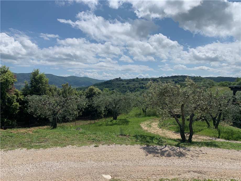 Vendita Villa/Casa singola Collazzone  #VVI70 n.9