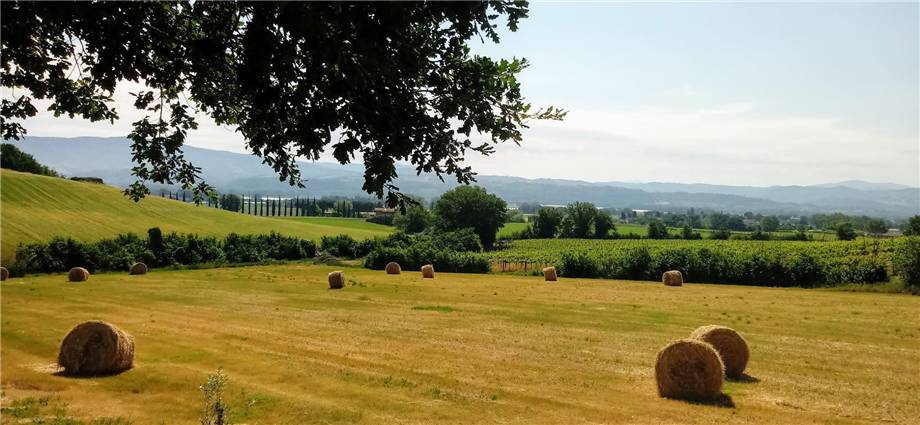 Venta Casa de campo Marsciano  #VCR 141 n.35