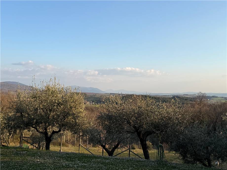 Vendita Villa/Casa singola Gualdo Cattaneo  #VCR142 n.18