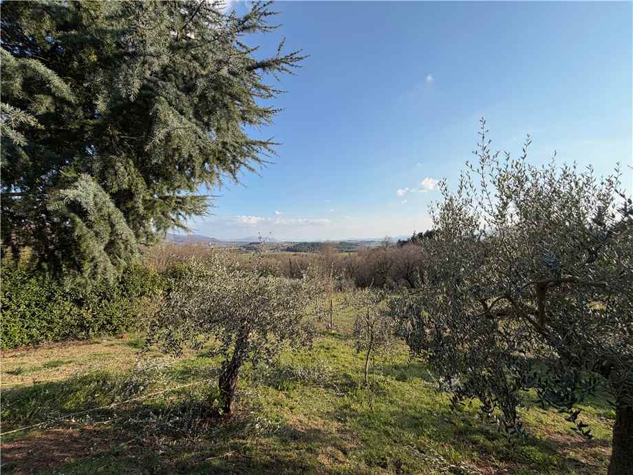 Vendita Villa/Casa singola Gualdo Cattaneo  #VCR142 n.22