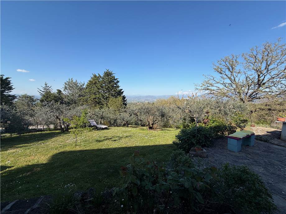 Vendita Villa/Casa singola Bettona  #VVI73 n.31