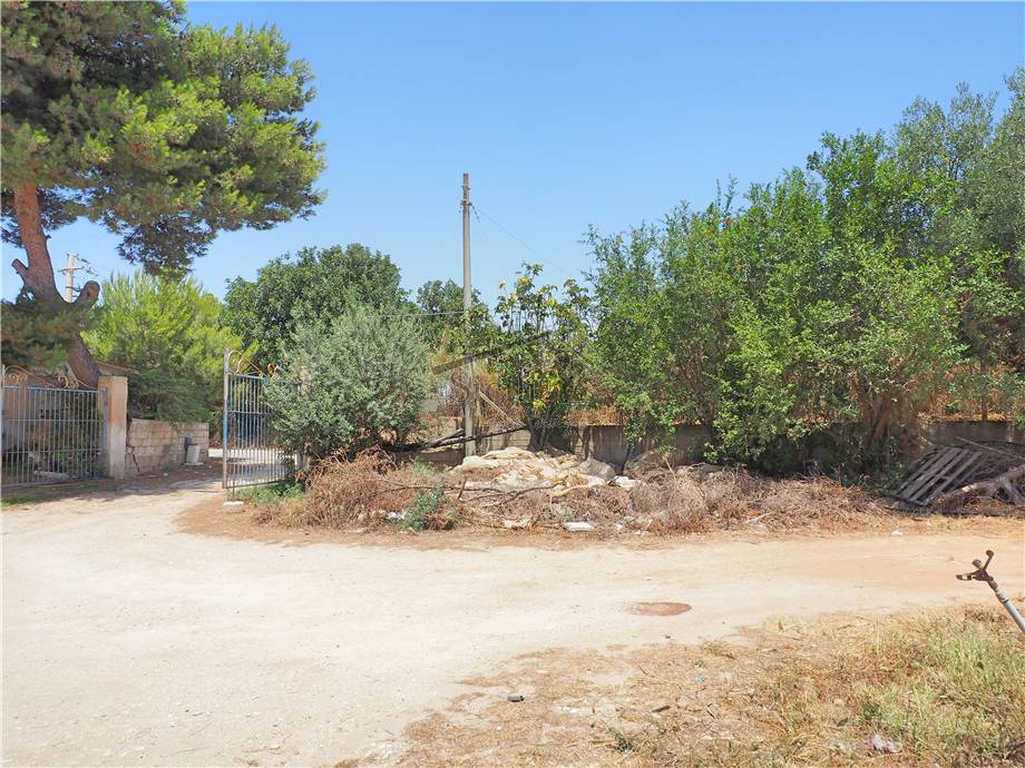 Venta Terreno agrícola Scicli Cava D'Aliga #2 n.3