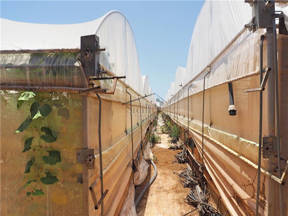 Venta Terreno agrícola Scicli Cava D'Aliga #2 n.6