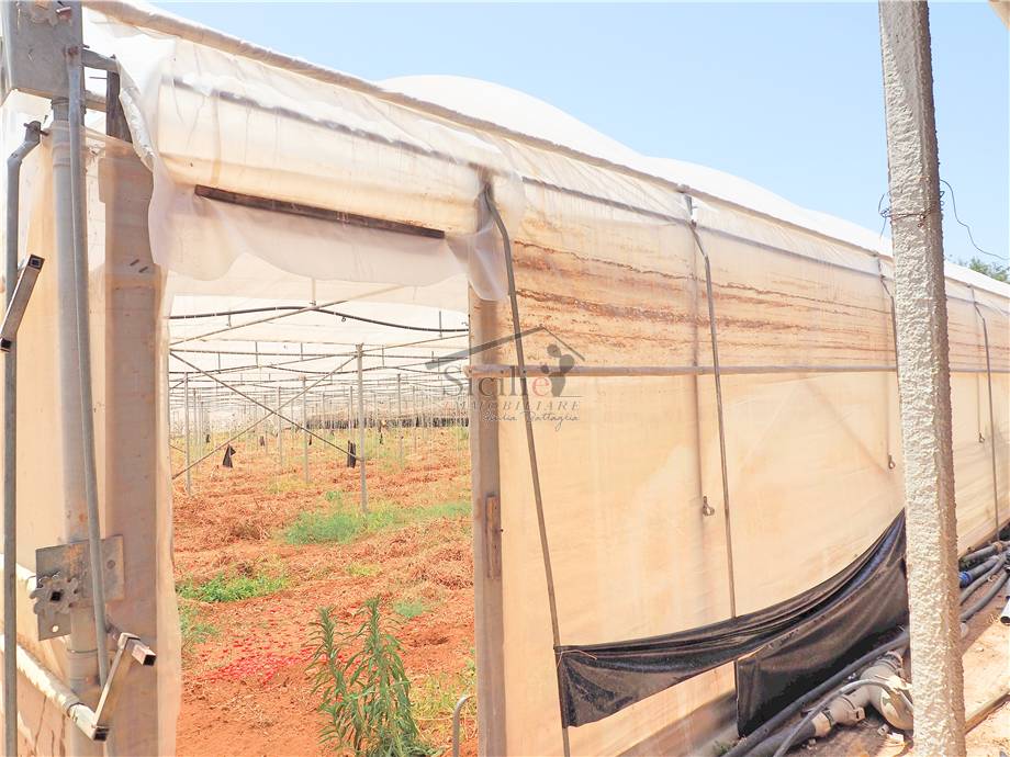 Venta Terreno agrícola Scicli Cava D'Aliga #2 n.7