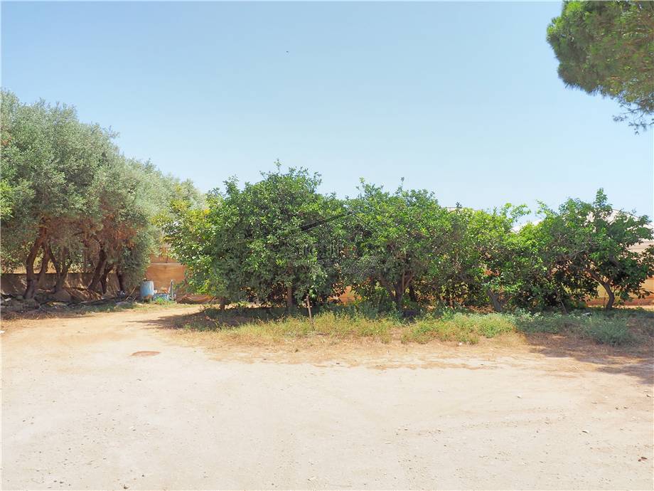 Venta Terreno agrícola Scicli Cava D'Aliga #2 n.8