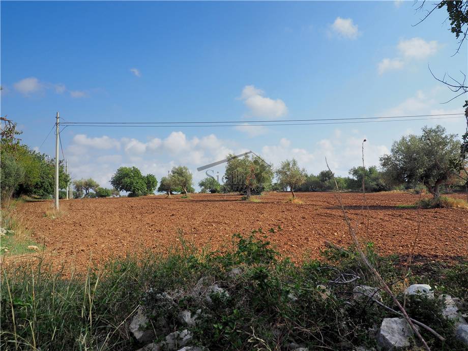 Terreno agricolo Scicli 11