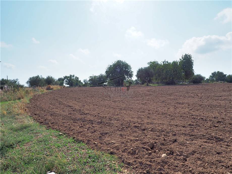 Vendita Terreno agricolo Scicli  #11 n.2