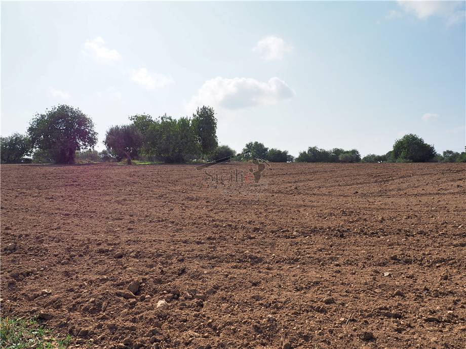 Venta Terreno agrícola Scicli #11 n.3