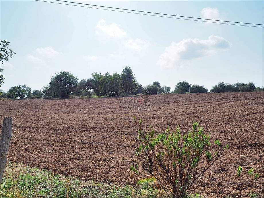 Venta Terreno agrícola Scicli #11 n.5
