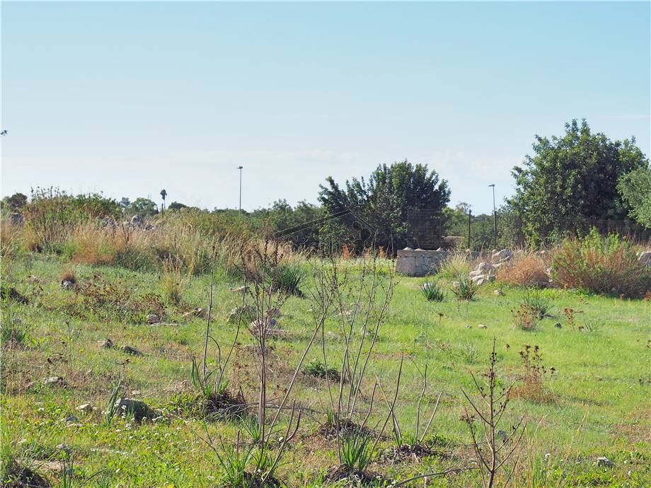 For sale Development land Scicli  #15 n.3
