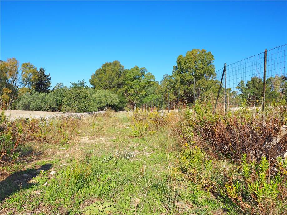For sale Development land Scicli  #15 n.4