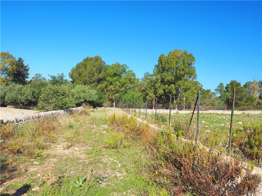 For sale Development land Scicli  #15 n.5