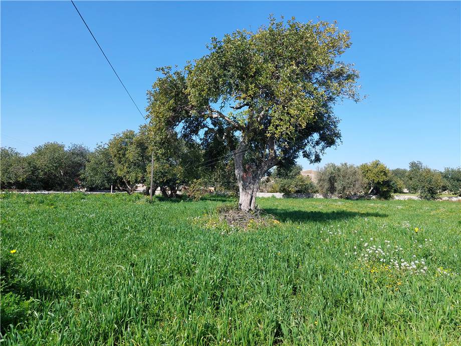 Terreno edificabile Scicli 89