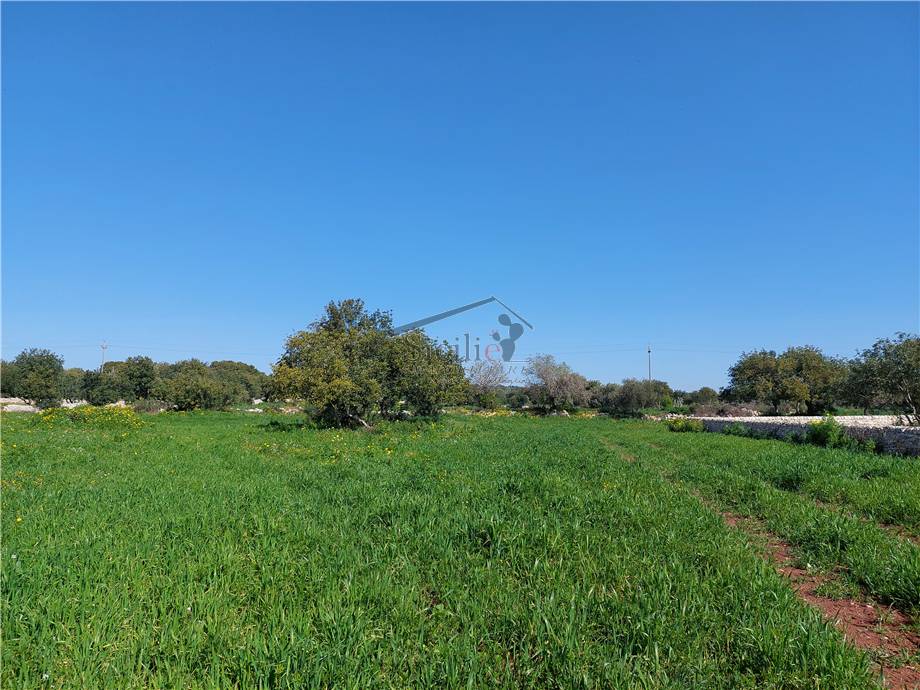 Venta Terreno edificable Scicli #89 n.4
