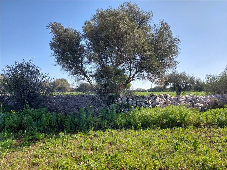 Venta Terreno edificable Scicli #89 n.7