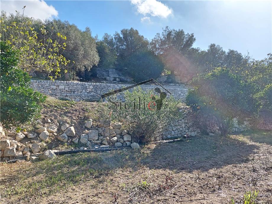 Venta Rústico/Casa de campo Ragusa #159 n.13