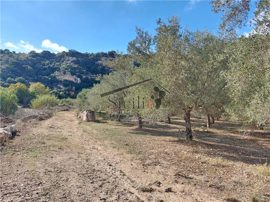 Venta Rústico/Casa de campo Ragusa  #159 n.3
