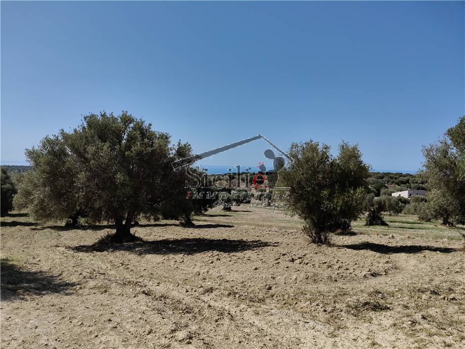 Venta Terreno edificable Scicli #211 n.14