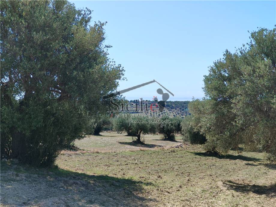 Venta Terreno edificable Scicli #211 n.6