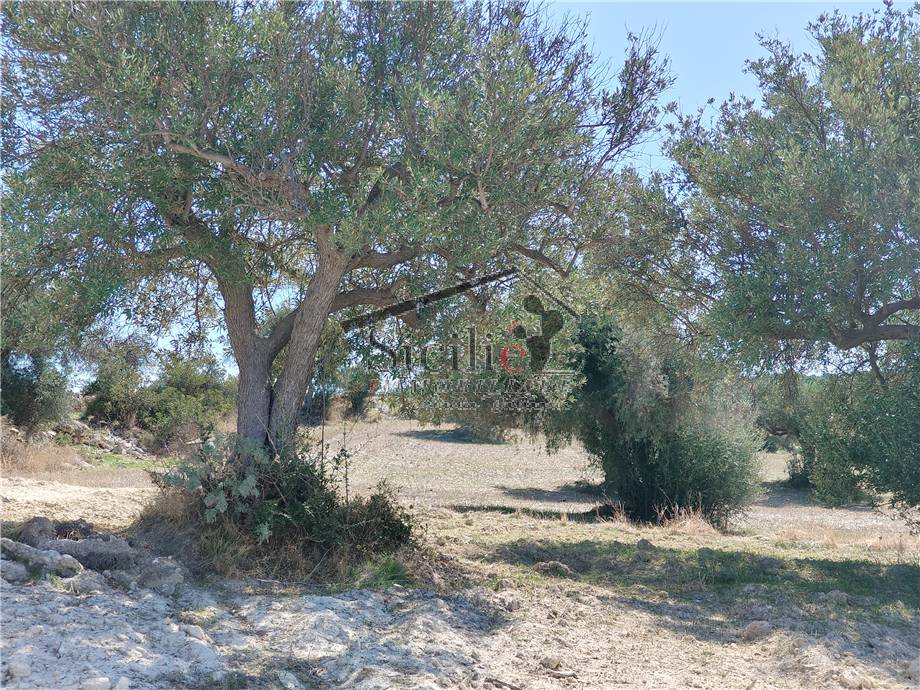 Venta Terreno edificable Scicli #211 n.7