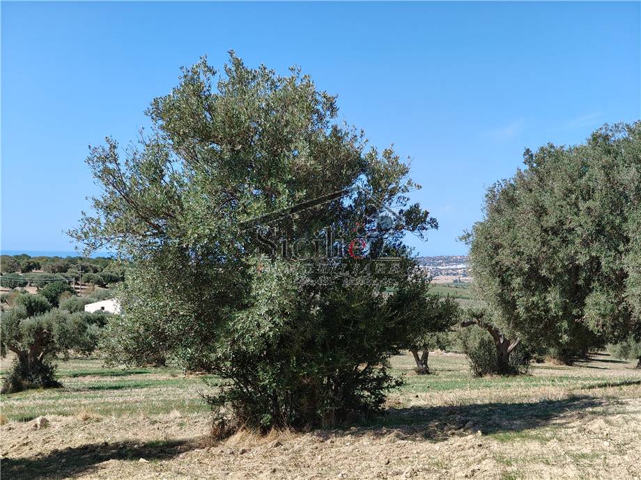 Venta Terreno edificable Scicli #211 n.8