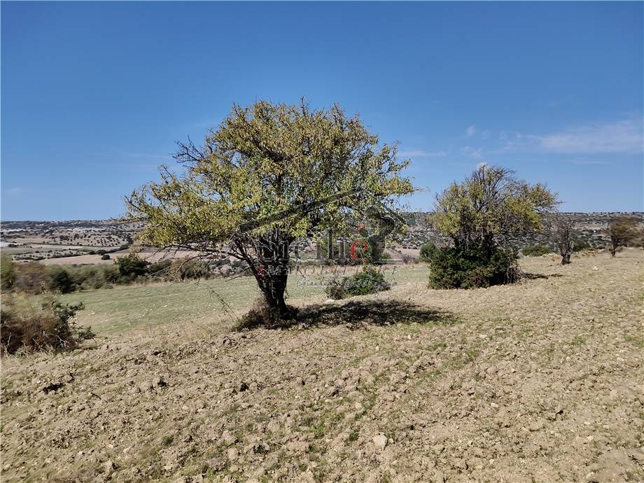 Venta Terreno edificable Scicli #212 n.1
