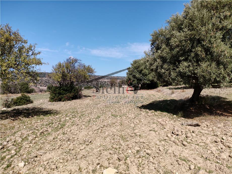 Venta Terreno edificable Scicli  #212 n.3