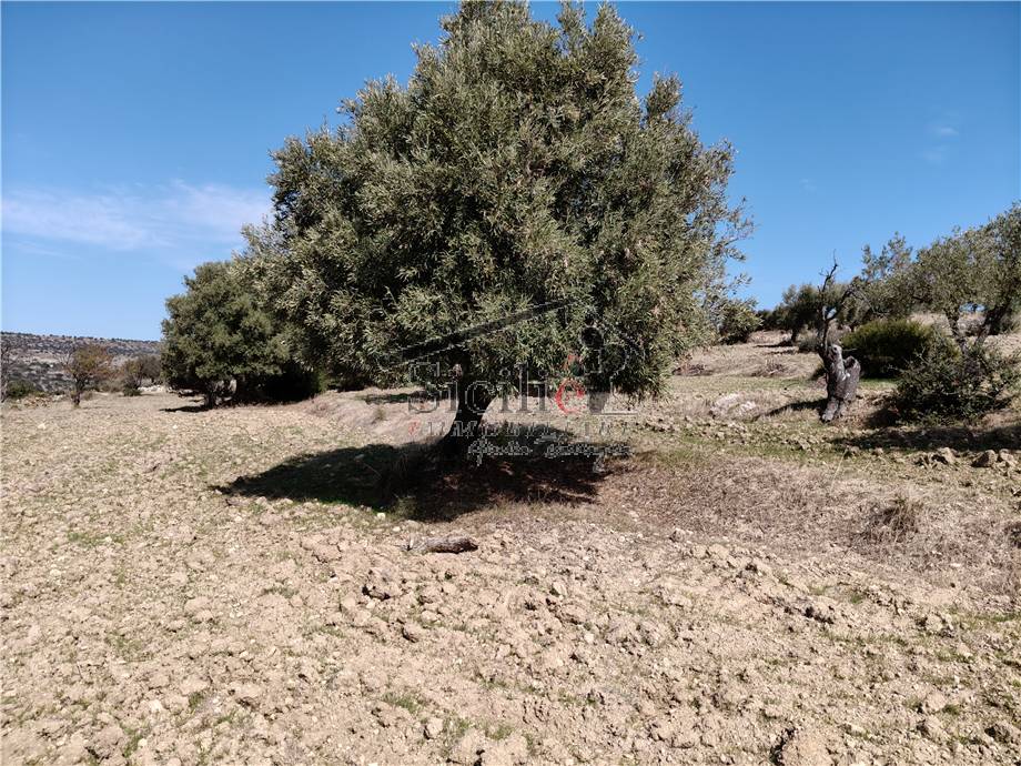 Venta Terreno edificable Scicli  #212 n.4