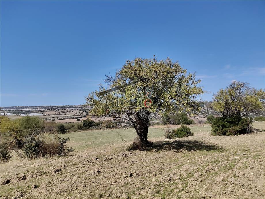 Venta Terreno edificable Scicli  #212 n.5