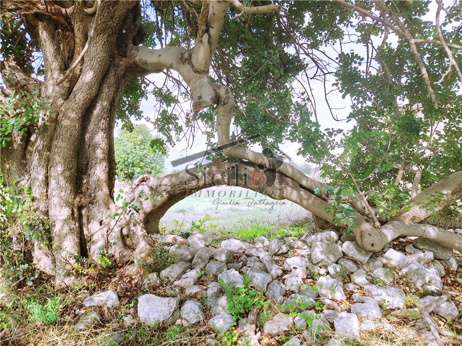 Venta Casa unifamiliar Scicli #215 n.5