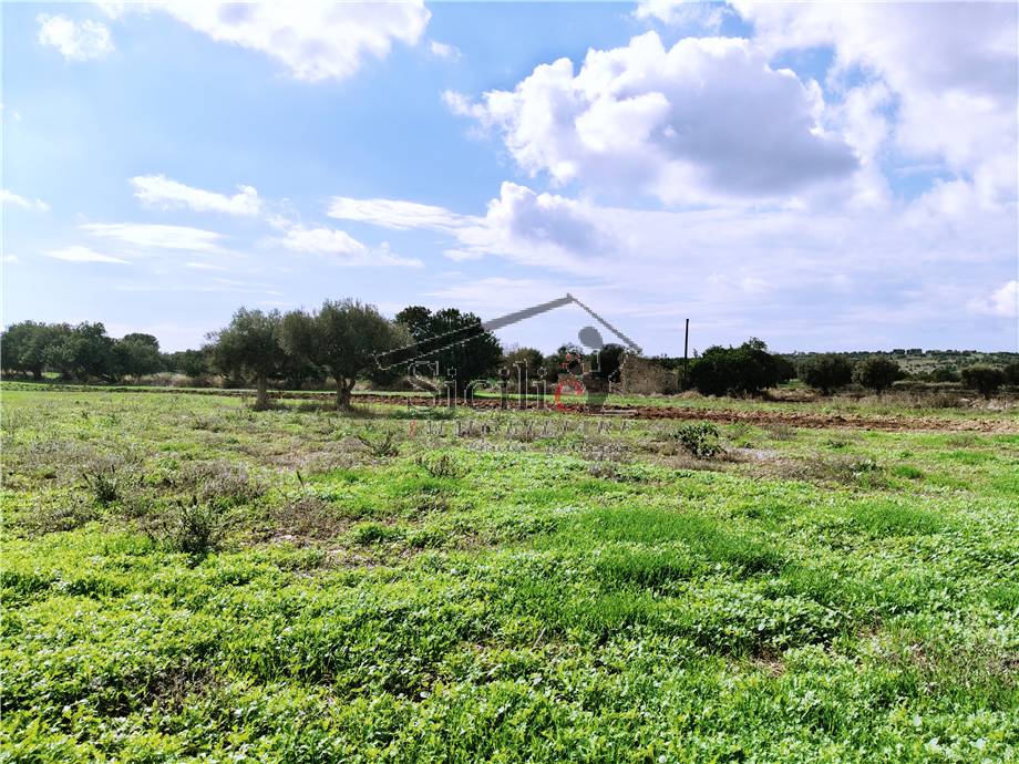 Vendita Casa indipendente Scicli #216 n.10