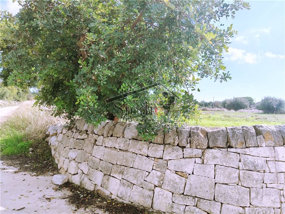 Vendita Casa indipendente Scicli #216 n.7