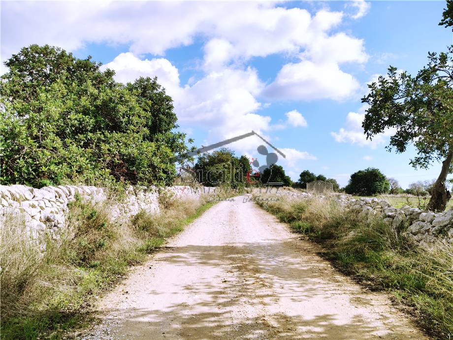 Vendita Casa indipendente Scicli #216 n.8